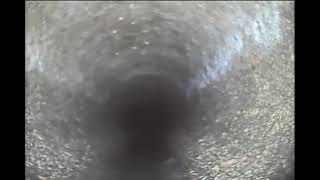 0001 Camera snake