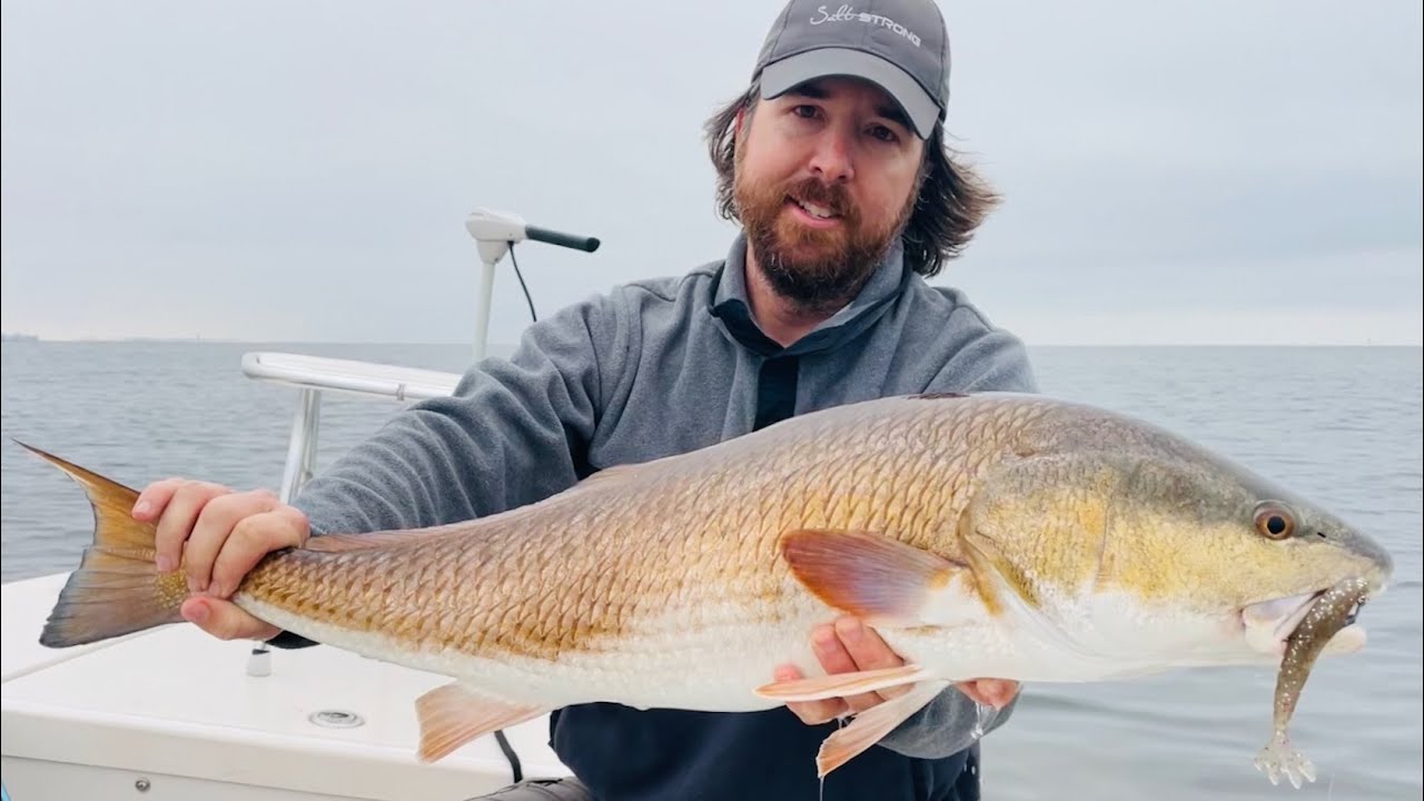 How To Use The Power Prawn U.S.A. In The Shallows For Redfish 