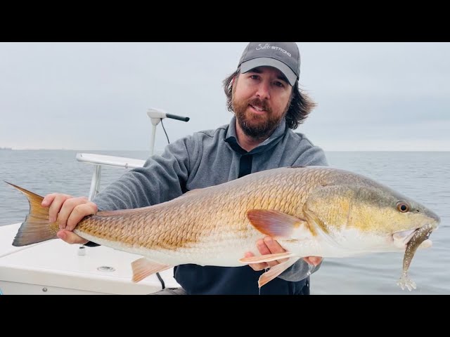 How To Use The Power Prawn U.S.A. In The Shallows For Redfish 