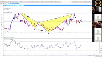 Harmonic Scanner Training