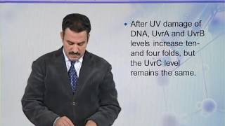 BIO731 Topic085