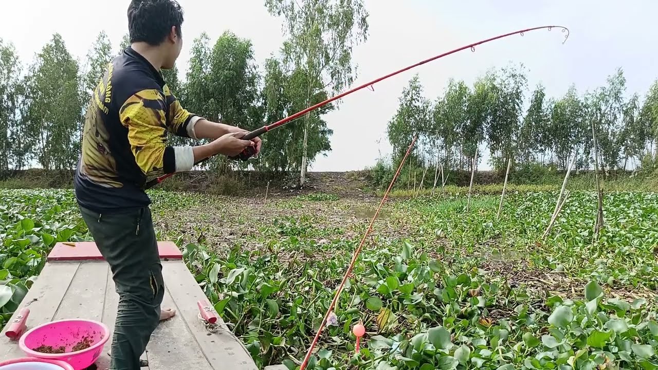 Hành Trình Câu Cá Xuyên Tỉnh - Câu Cá Tra, Cá Trôi Những Điểm Câu Cá Khủng Tập 8
