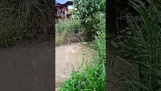 Download Lagu good morning my village/kampung ku selamat pagi guys #subscriber #harusberanda #allguys MP3