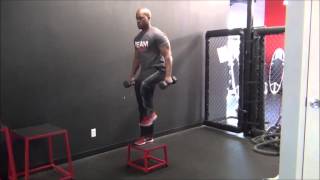 Dumbbell Step Up w Knee Raise