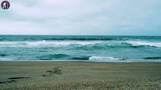 เสียงชายหาด,เสียงทะเล,เสียงคลื่น | ดนตรีหลับสบาย เสียงธรรมชาติ ดนตรีคลายเครียด ดนตรีผ่อนคลาย
