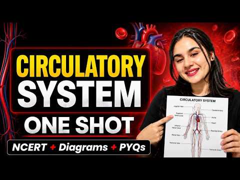 Circularty System  | Blood Circulation | रुधिर परिसंचरण | धमनी | Veins | शिरा |  Artery | by sneha