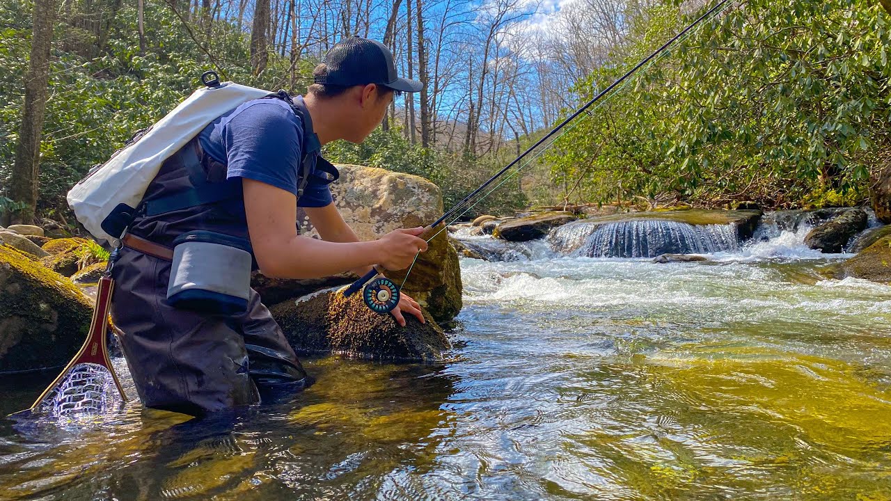 Fly Fishing PRISTINE Mountain Stream --- On The Fly (1/3)
