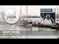 Muddy Waters Mean Red Spider 1949 mp3