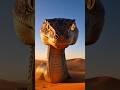 The Ancient Saga | The Sand Serpent Awakens #history #ancient