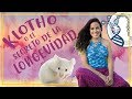 🧠Klotho para frenar el envejecimiento y potenciar el cerebro | darwiniana 🌻