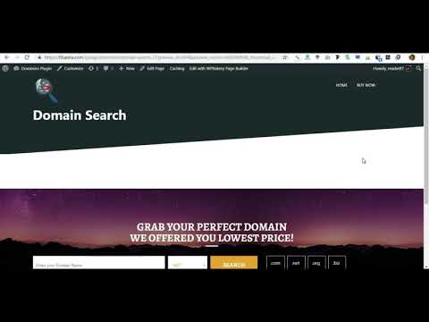 Dominion Domain Checker Plugin Tutorial