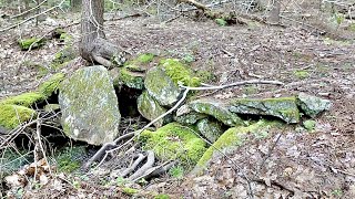 This is definitely an ancient American road i discovered in the forest