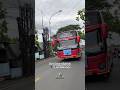 Camelia  #shanumwisata #sewabustangsel #busmania #basuri #telolet #bustelolet