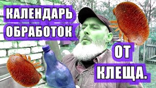 видео: КАЛЕНДАРЬ ОБРАБОТКИ ОТ КЛЕЩА ВАРРОА картинка: КАЛЕНДАРЬ ОБРАБОТКИ ОТ КЛЕЩА ВАРРОА