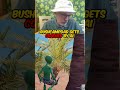 ai coached me to a ranked win! #bushcampdad #fortnite #gamin #fortnitefunny #unrealranked