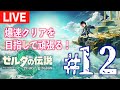 【#１２】ゼルダの伝説 ティアーズ オブ ザ キングダムやっていく！