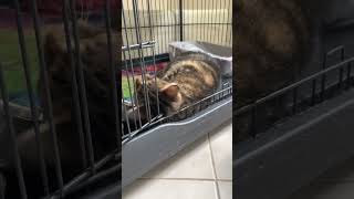 IMG 4395