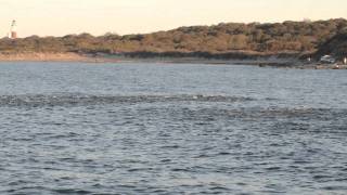 Montauk Blitz 2011