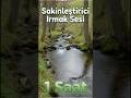 Uyuyamıyor musun? 🌊 Bu sesi dene… #ırmak #nehir  #doğasesleri