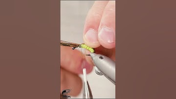Super EFFECTIVE caddis pupa pattern in 60 seconds! Fly tying tutorial. Fly tying for beginners.
