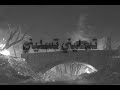 تسليني تسليني