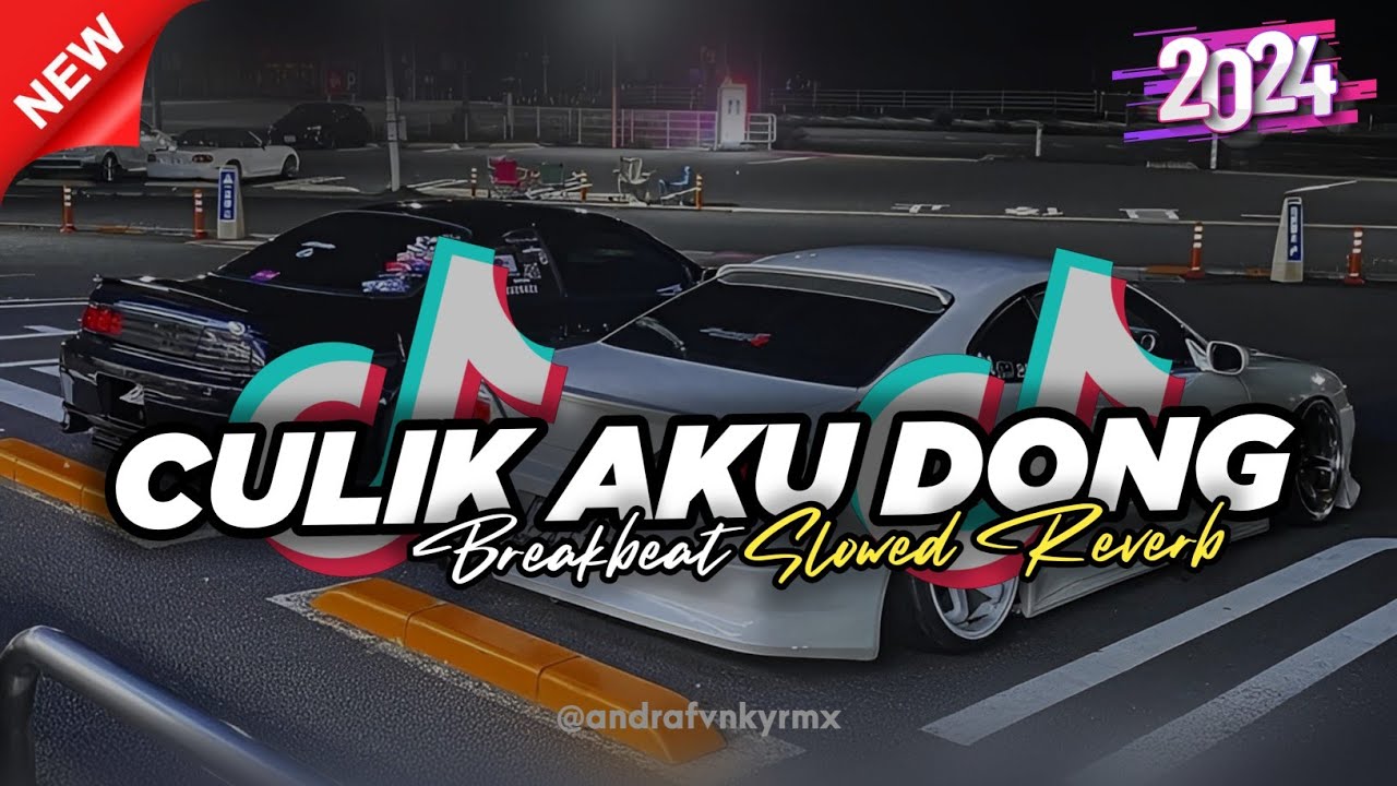 DJ AYO SAYANG CULIK AKU DONG REMIX BREAKBEAT 🔥 ( SLOWED & REVERB )