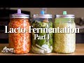 Easy Lacto-Fermentation Pat 1  - Sauerkraut, Kimchi, Dill Pickles, Jalapeno Hot Sauce