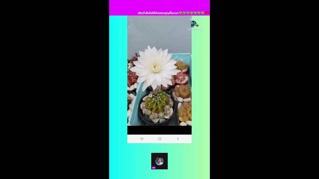 ฟังเพลงเพลินๆด้วยกันครับ