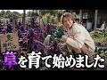 見た目からしてヤバすぎる草を育て始めるダイキ様