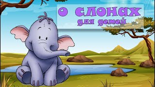 О Слонах Для Детей). Животные Африки