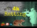 Tricky Ratting With The ATN4K Pro