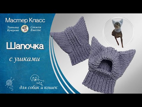 Шапочка с ушками для собак и кошек, DIY Hat for dogs and cats