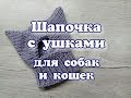 Шапочка с ушками для собак и кошек, DIY Hat for dogs and cats