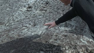 Judaculla Rock | NC Weekend | UNCTV
