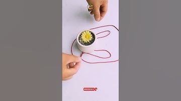 How to hang is flower pot #shorts #knottutorial #diy #knot #hangerknots @DoiT_03