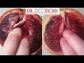 FOOD PORN Mal Anders Was Sollen Diese Frucht Vaginas WTF BILDBoxx