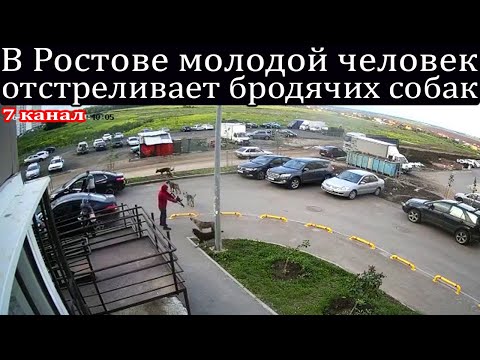 В Ростове молодой человек отстреливает бродячих собак.