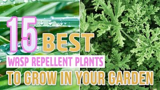 15 Best Wasp Repellent Plants To Grow In Your Garden