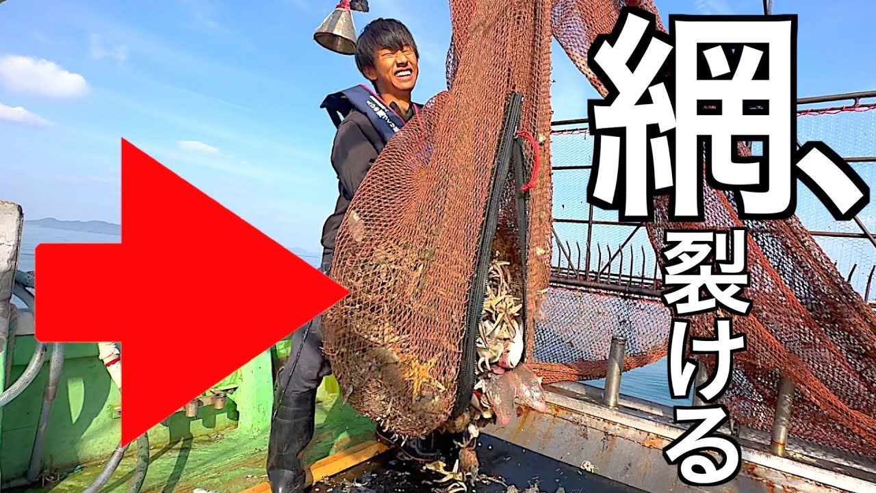 【大失敗】意図的に、網を裂いてしまいました...