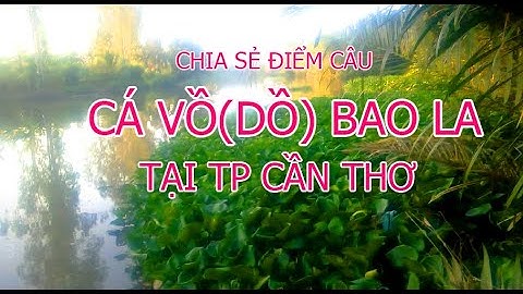 Phê Cần - Chia Sẻ Điểm Câu Cá Sông Tự Nhiên 9(Chi Tiết)(Rất Nhiều Cá)|Vàm Cái Nai Cần Thơ.