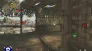 Collateral Damage no scope