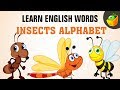 Insects | Learn Spelling | For Kindergarten and Toddlers in MagicBox