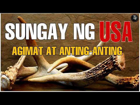 Video: Ano Ang Pugad Ng Sungay
