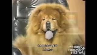 KTZO San Francisco classic news bumpers