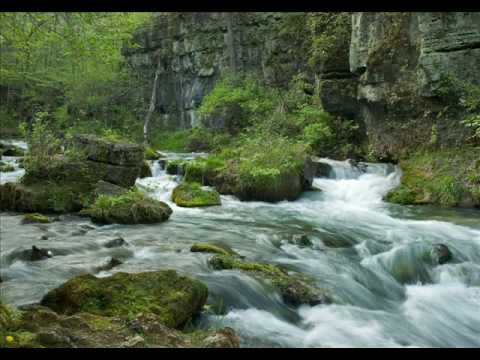 Hello City Limits-Red Allen & The Kentuckians