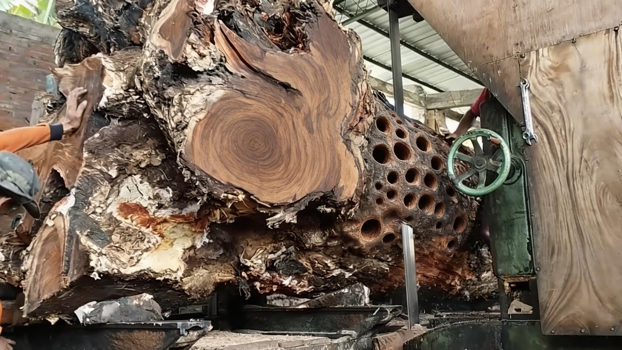 The most dangerous spectacular wood sawing process - YouTube