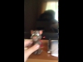Talking Tom Happy Meal Toy Video Test 