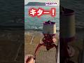 【キス釣り】フグ対策で良型キスを狙え！