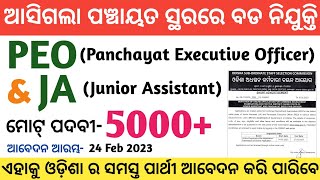 PEO And JA Short Notification Details 2023 || OSSSC Vacancy Details || @REVISEDSTUDY