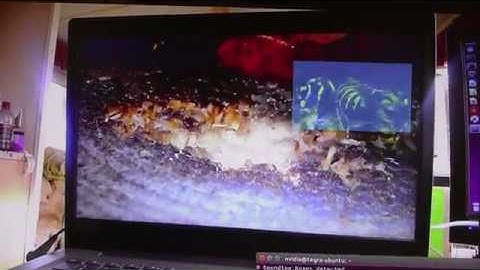 Wasp Video Test Jetson TX2